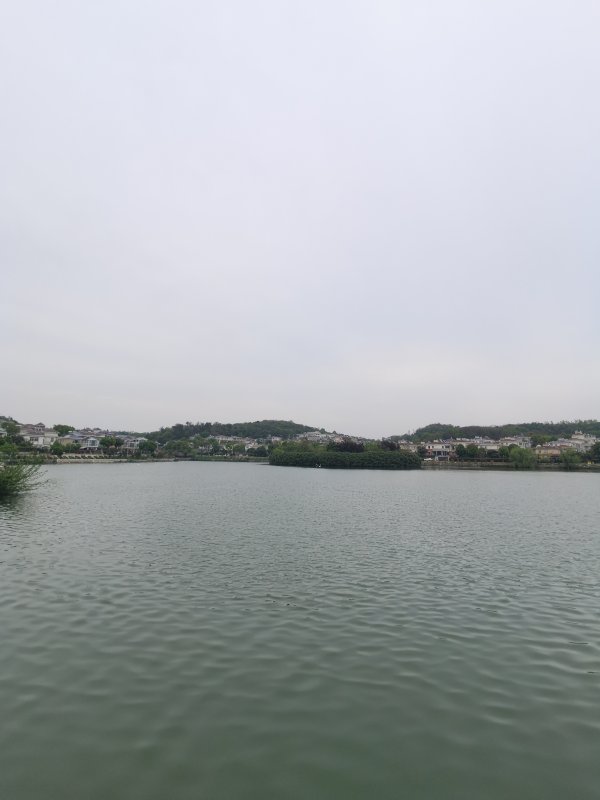 星空app许多细节她齐记在心里-星空app官网版下载v.9.55.87-星空app